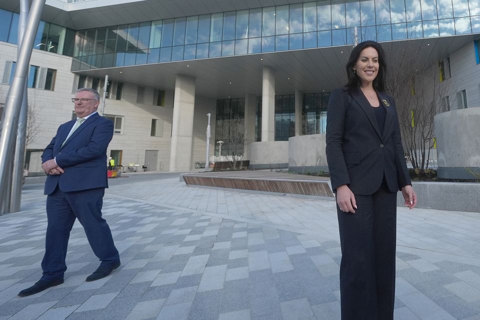 Health Minister Jennifer Carroll MacNeill with Northern Ireland health minister Mike Nesbitt. Photo: PA